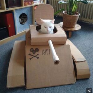 Meet your Posher, Travis